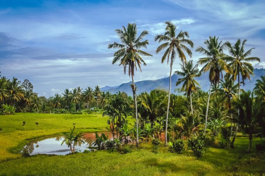 Indonesian tropical landscape